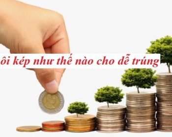 Nuôi kép như thế nào cho dễ trúng, lãi cao